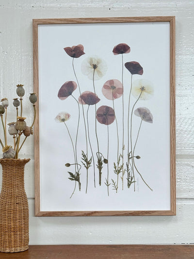 Plakat, poppy love