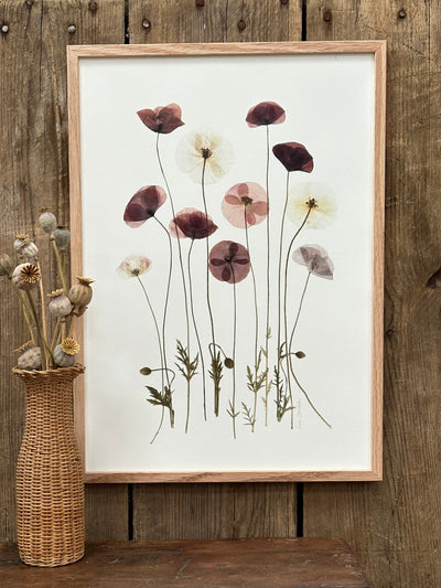 Plakat, poppy love